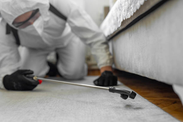 Professional Termite Control technician working in Jourdanton, TX